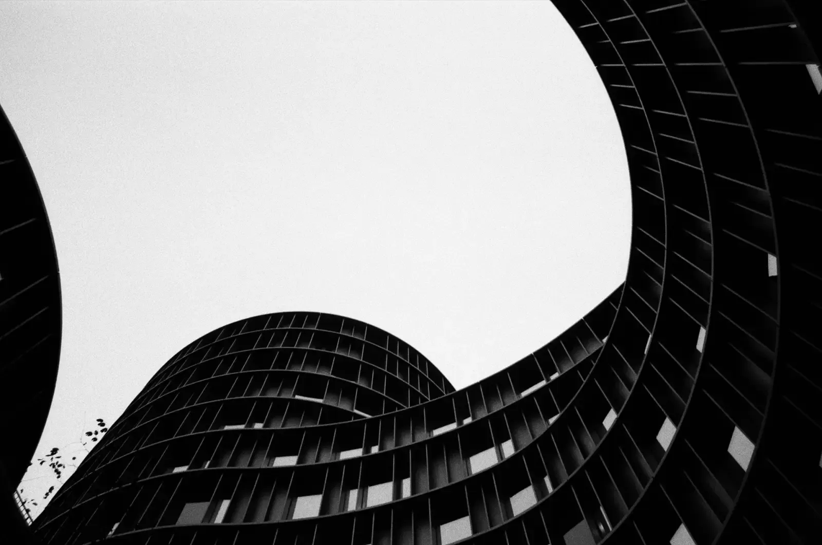 Black-and-white upward view of a curved high-rise facade